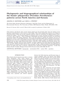 Phylogenetic and biogeographical relationships of the Sander