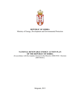 National Renewable Energy Action Plan