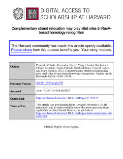 Complementary strand relocation may play vital roles in RecA