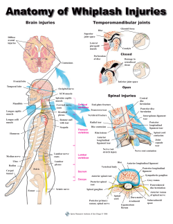 Anatomy - Satterwhite Chiropractic