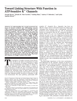 Toward Linking Structure With Function in ATP-Sensitive