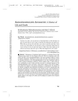 AMINOPHOSPHOLIPID ASYMMETRY: A Matter of