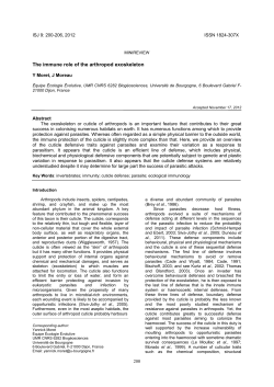 The immune role of the arthropod exoskeleton
