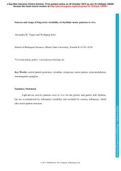Sources and range of long-term variability of rhythmic motor patterns
