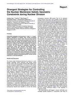 Divergent Strategies for Controlling the Nuclear Membrane Satisfy