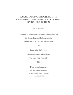 ARABIC LANGUAGE MODELING WITH STEM