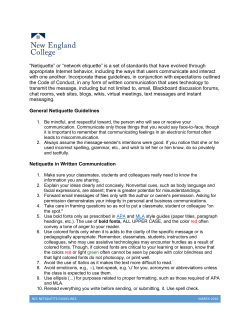 Netiquette Guidelines (network etiquette)