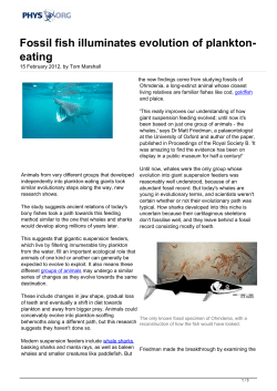 Fossil fish illuminates evolution of plankton-eating