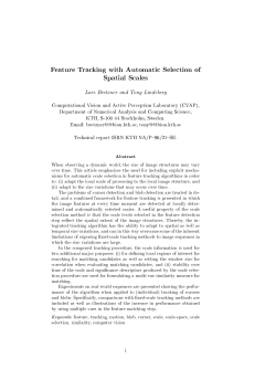 Feature Tracking with Automatic selection of spatial scales
