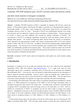 A plastidic ATP/ADP transporter gene, IbAATP, increases starch and