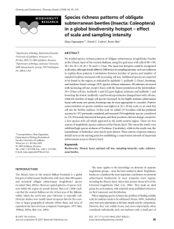 Zagmajster 2008 - Cholevinae of the World