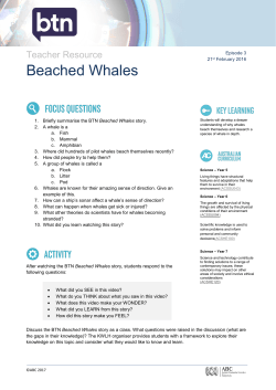 Beached Whales