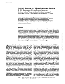 Antibody Response to a T-dependent Antigen Requires B Cell