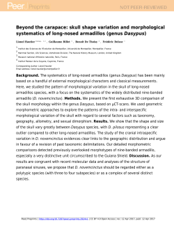 skull shape variation and morphological systematics of long