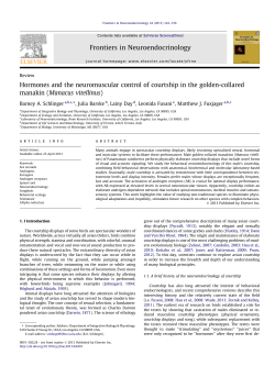 Hormones and the neuromuscular control of courtship in the golden