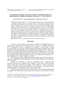 cytogenetic observations on some in vitro regenerants provided by