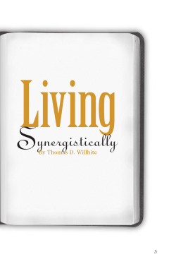 Living Synergistically eBook