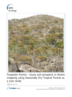 Forgotten forests - issues and prospects in biome mapping using