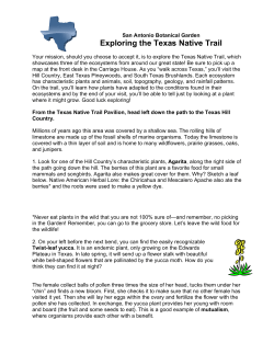 Exploring the Texas Native Trail