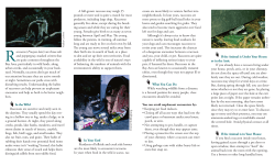 Raccoons - East Bay Regional Park District