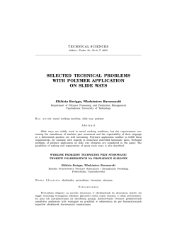 selected technical problems with polymer application on slide ways