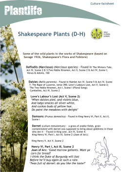 Shakespeare Plants - Wildflower Europe
