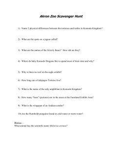 Komodo Kingdom Scavenger Hunt