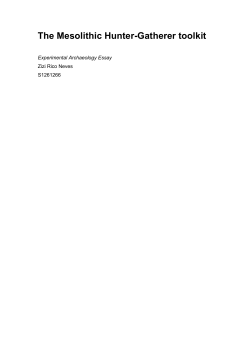 The Mesolithic Hunter-Gatherer toolkit