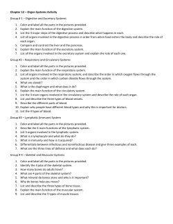 Chapter 12 &ndash; Organ Systems Activity Group # 1 &ndash; Digestive and