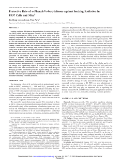 Phenyl- Nt-butylnitrone against Ionizing Radiation in U937 Cells and