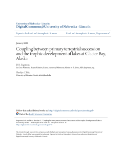 Coupling between primary terrestrial succession and the trophic