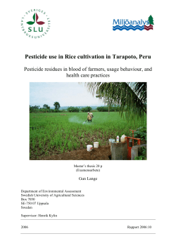 Pesticide use in Rice cultivation in Tarapoto, Peru
