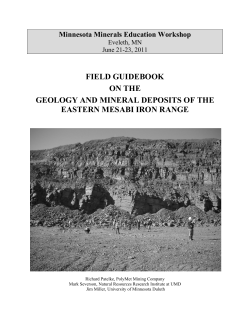 field guidebook on the geology and mineral deposits