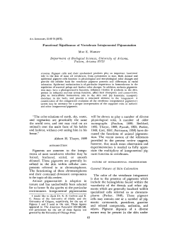 Functional Significance of Vertebrate lntegumental Pigmentation