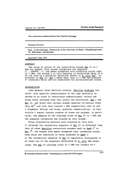 Two restriction endonucleases from Bacillus globiggi Vincenzo