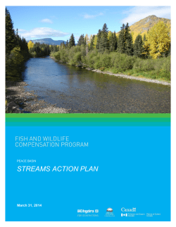 Peace Basin Streams Action Plan - Fish and Wildlife Compensation