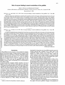 Role of enzyme binding in muscle metabolism of