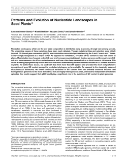 Patterns and Evolution of Nucleotide Landscapes in