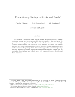 Precautionary Savings in Stocks and Bonds