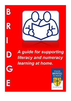 B.R.I.D.G.E. - Brynteg School