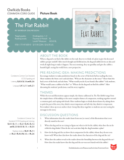 The Flat Rabbit