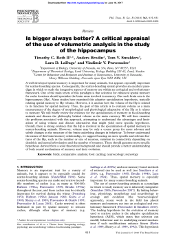 Is bigger always better? A critical appraisal of the use of volumetric