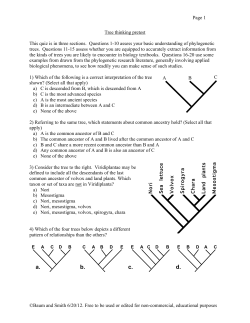 Chapter 1 quiz 6-20-12