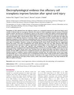 Electrophysiological evidence that olfactory cell