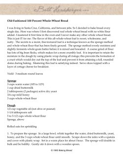 Old-Fashioned 100 Percent Whole-Wheat Bread