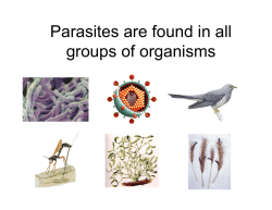 Parasites are found in all groups of organisms