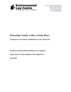 Protecting Granby Valley Grizzly Bears