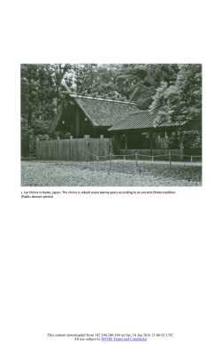 Preservation Theory Unfolding. Future Anterior