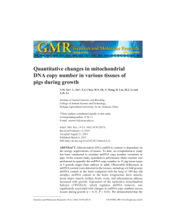 Quantitative changes in mitochondrial DNA copy
