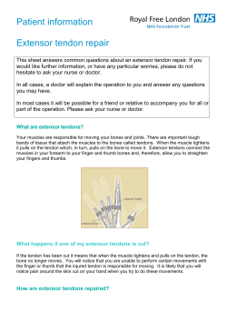 Extensor tendon repair
